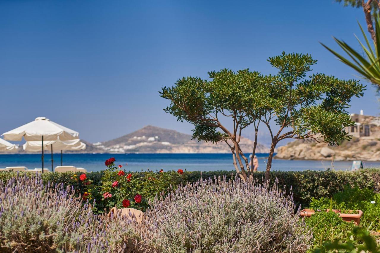 Kalergis Studios Naxos City Екстер'єр фото